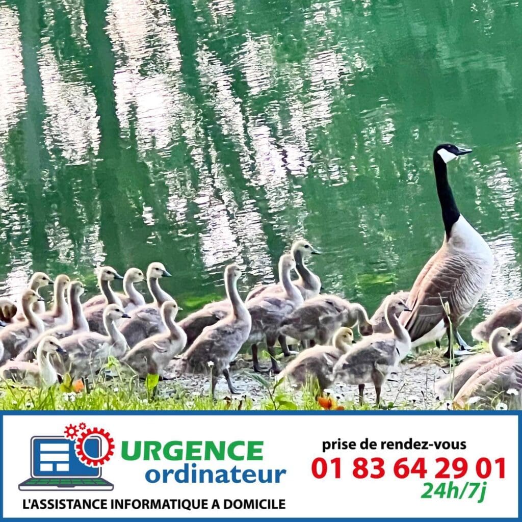 en promenade a lavarenne saintmaur 1