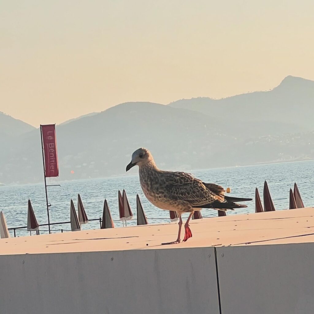 carte postale de vacances urgenceordinateur