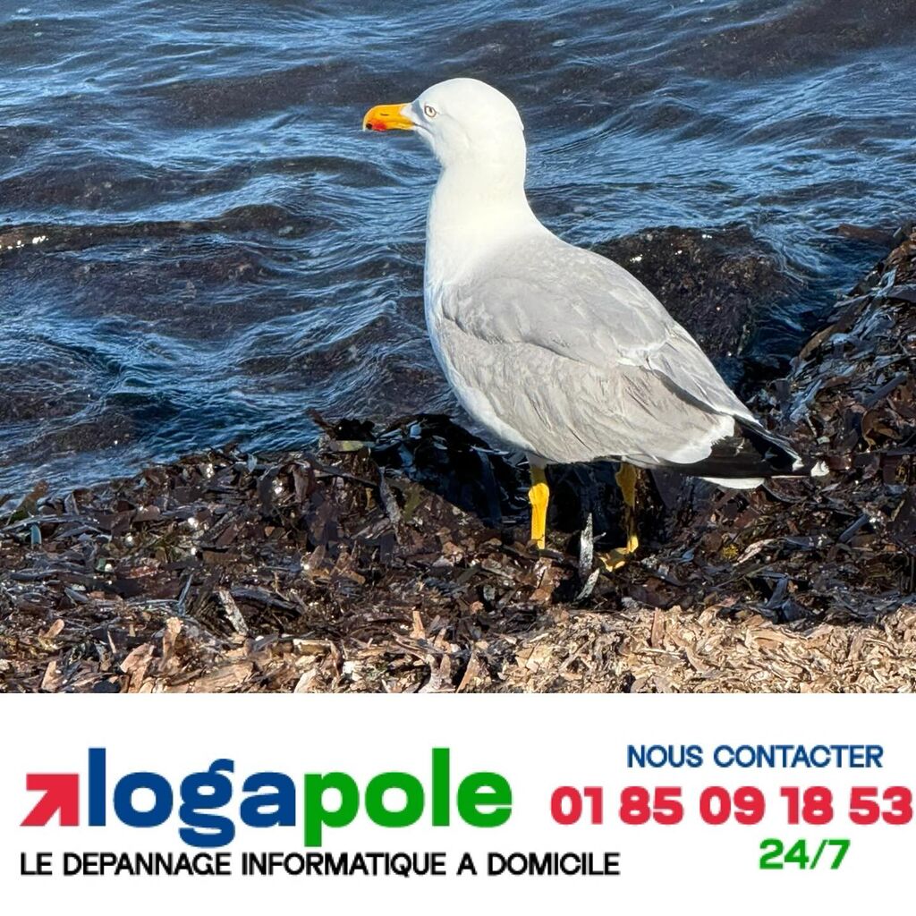 mission du jour carte postale dun collegue a cannes 06 assistanceinformatique assistanceinformatique