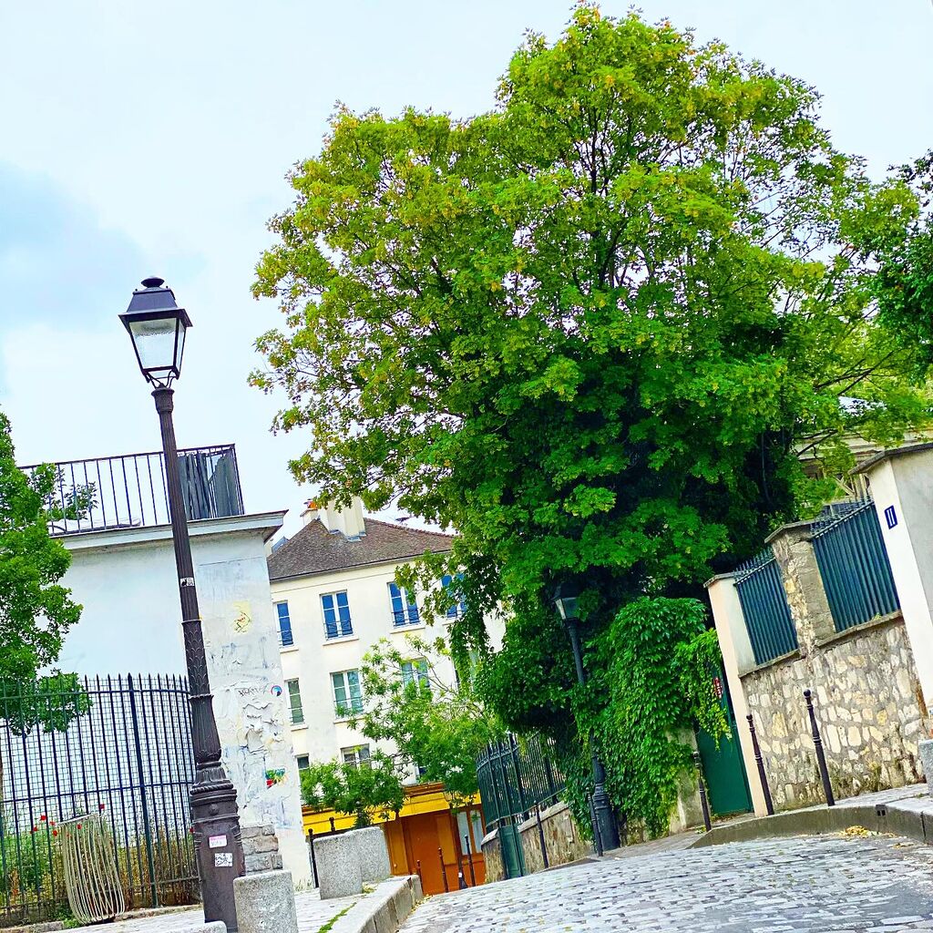 Mission du jour : différents réglages sur un ordinateur nouvellement installé et application des mises à jour à Paris 18e (75018) 2 mission du jour differents reglages sur un ordinateur nouvellement installe et application des mises